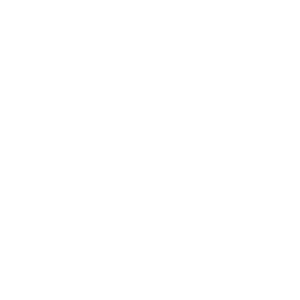 logo laycon