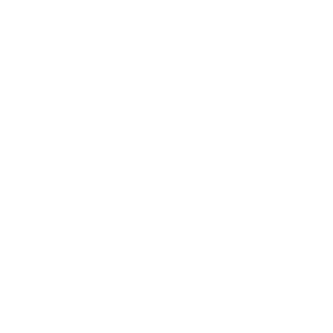 ev logo